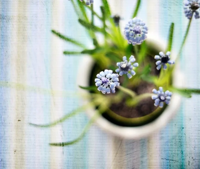 Maria Kallin photography