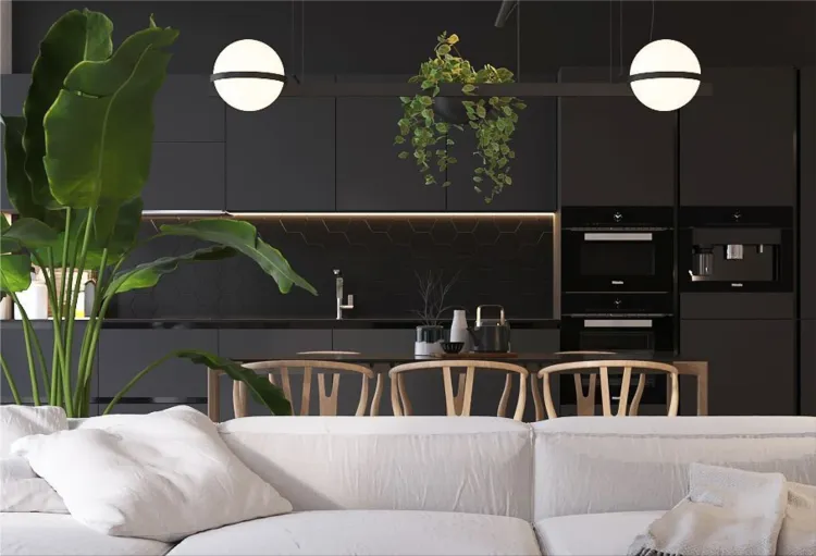 minimalist and functional style