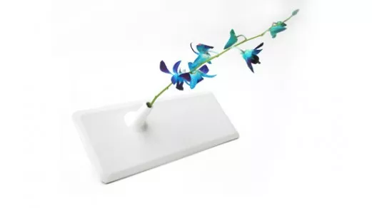 flower vase