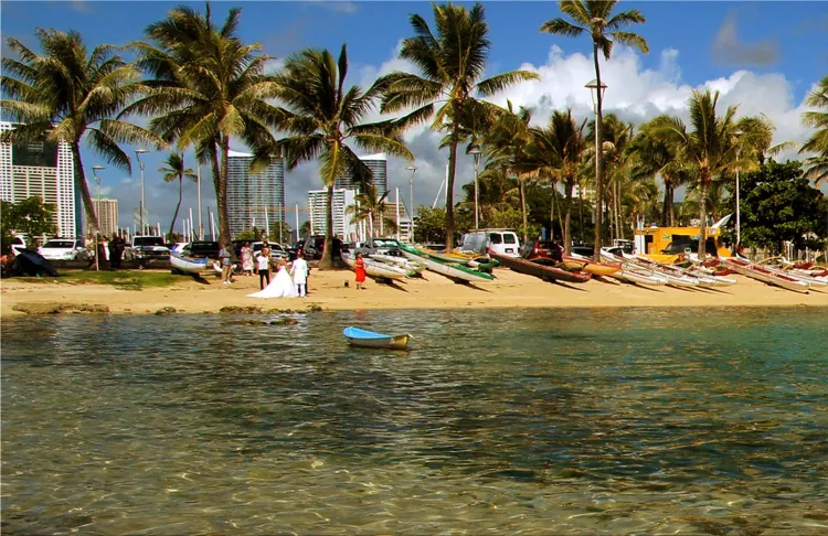 swimming experience in Hawaii