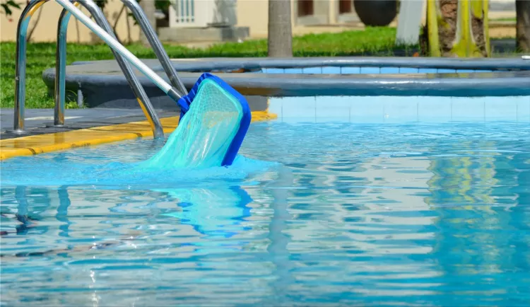 swimming pool maintenance