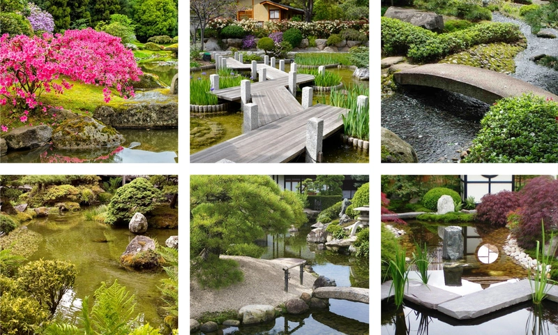 Tips and ideas for landscaping in a Japanese garden
