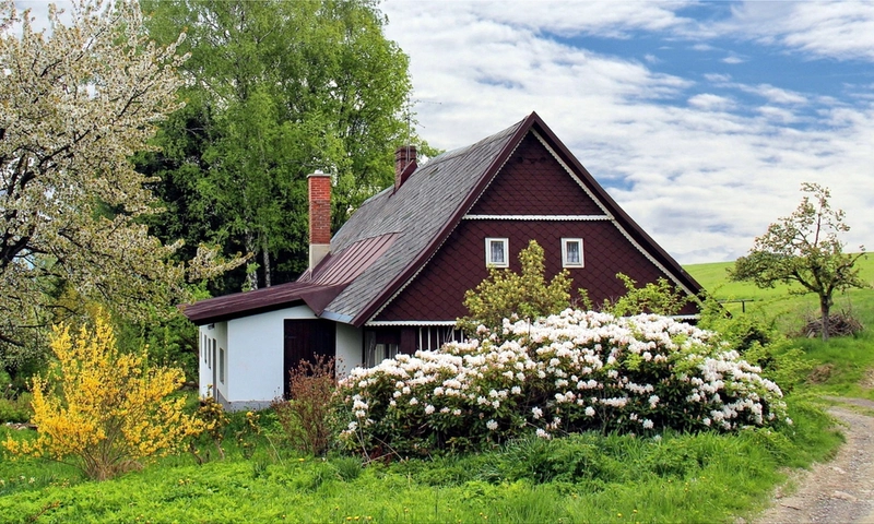 Top Factors to Consider When Looking for a Home
