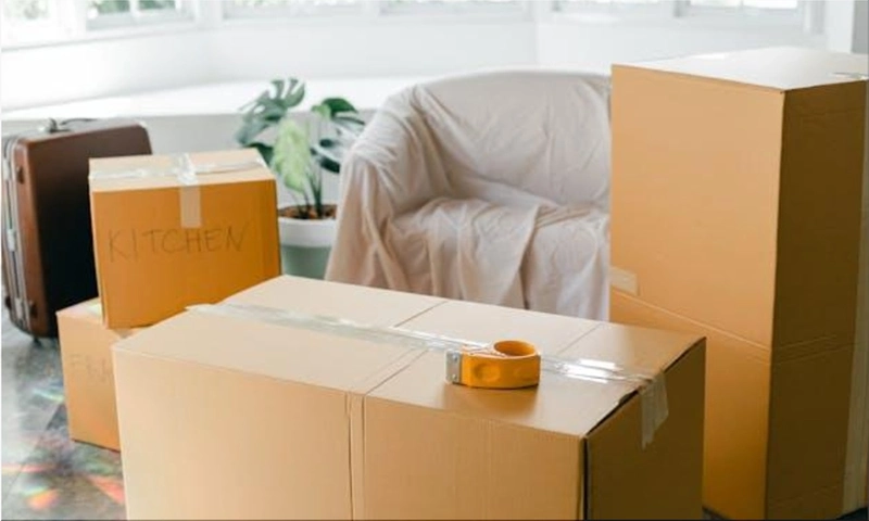 How to Save Money on Your Next Move with Professional Movers