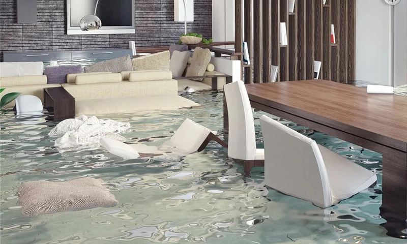 5 Steps to Follow After Your Home Suffers Water Damage