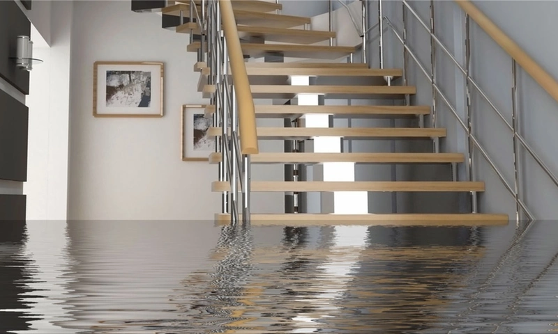How to Deal With Water Damage and Prevent Mold Growth