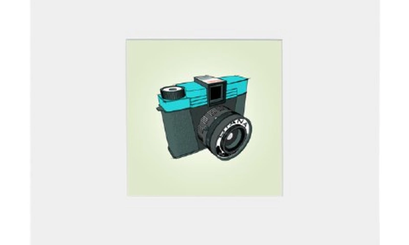 Lomo Diana Camera Print from Sean Tubridy