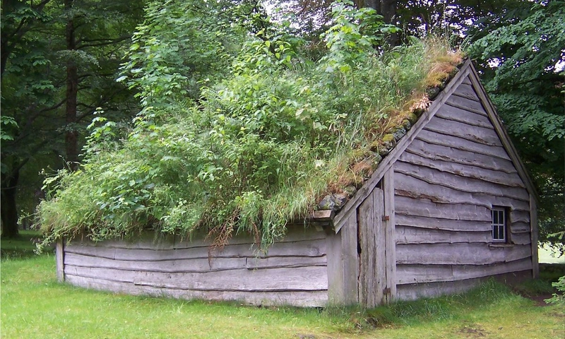 House ecological roof