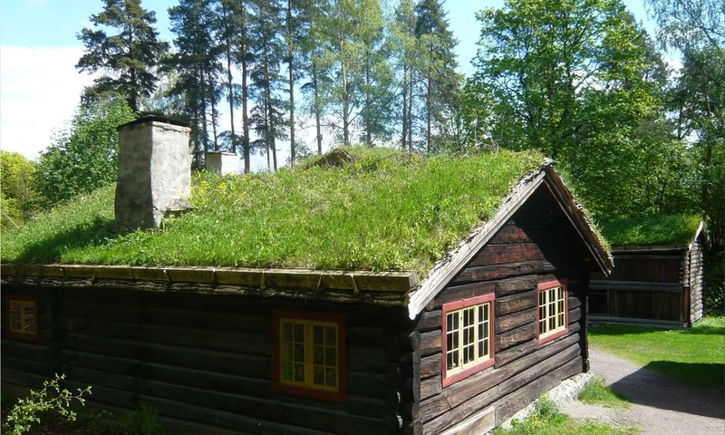 ecological roof