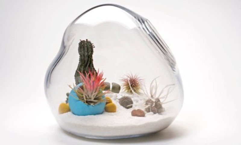 Litill Terrarium Lykt