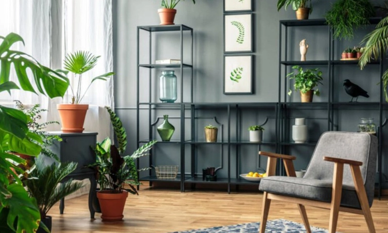 Ideas to decorate the living room from scratch