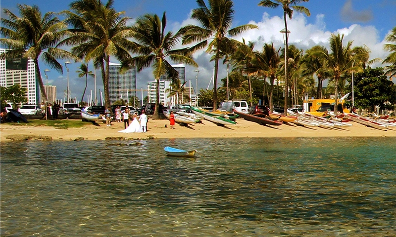 swimming experience in Hawaii
