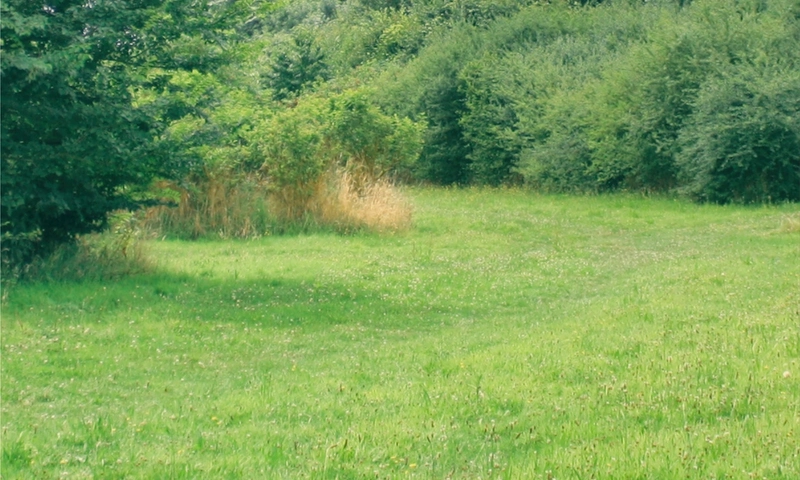 How To Make the Most of Your New Property
