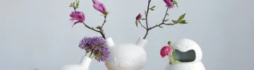 Frank Willems Aaah vase collection