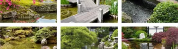 Tips and ideas for landscaping in a Japanese garden