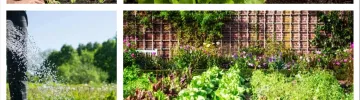 How to Build a Spring Salad Garden That Keeps Fresh Greens Coming