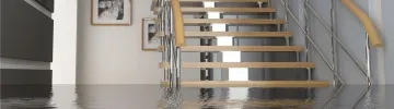 How to Deal With Water Damage and Prevent Mold Growth
