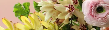 Small Gifts That Make a Big Impact