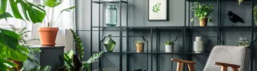 Ideas to decorate the living room from scratch