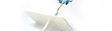 Not your usual flower vase
