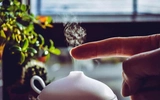 Home Fragrance Systems