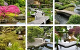 Tips and ideas for landscaping in a Japanese garden