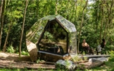 PEBL Grand Cabin