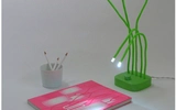 Luminous, fresh nature on your desk