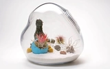 Litill Terrarium Lykt