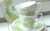 Step Toes Antiques
