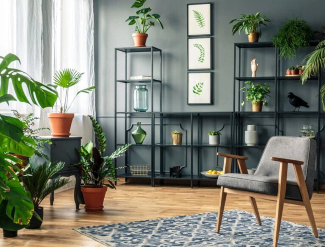 Ideas to decorate the living room from scratch