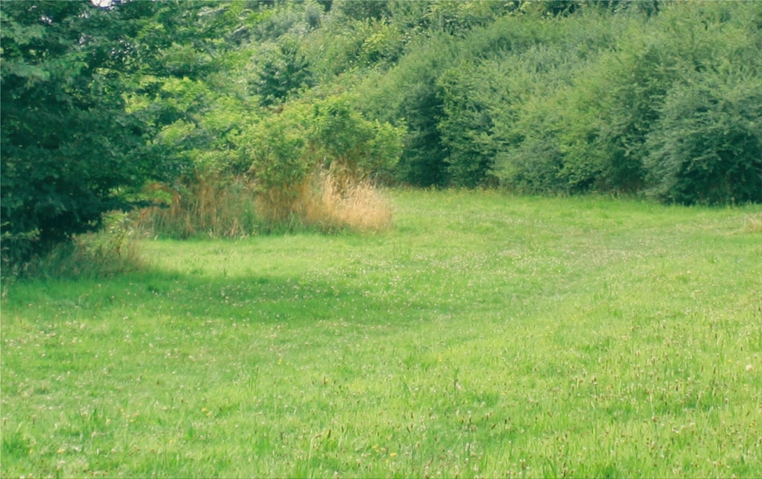 How To Make the Most of Your New Property